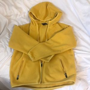 Mustard/Yellow Jacket